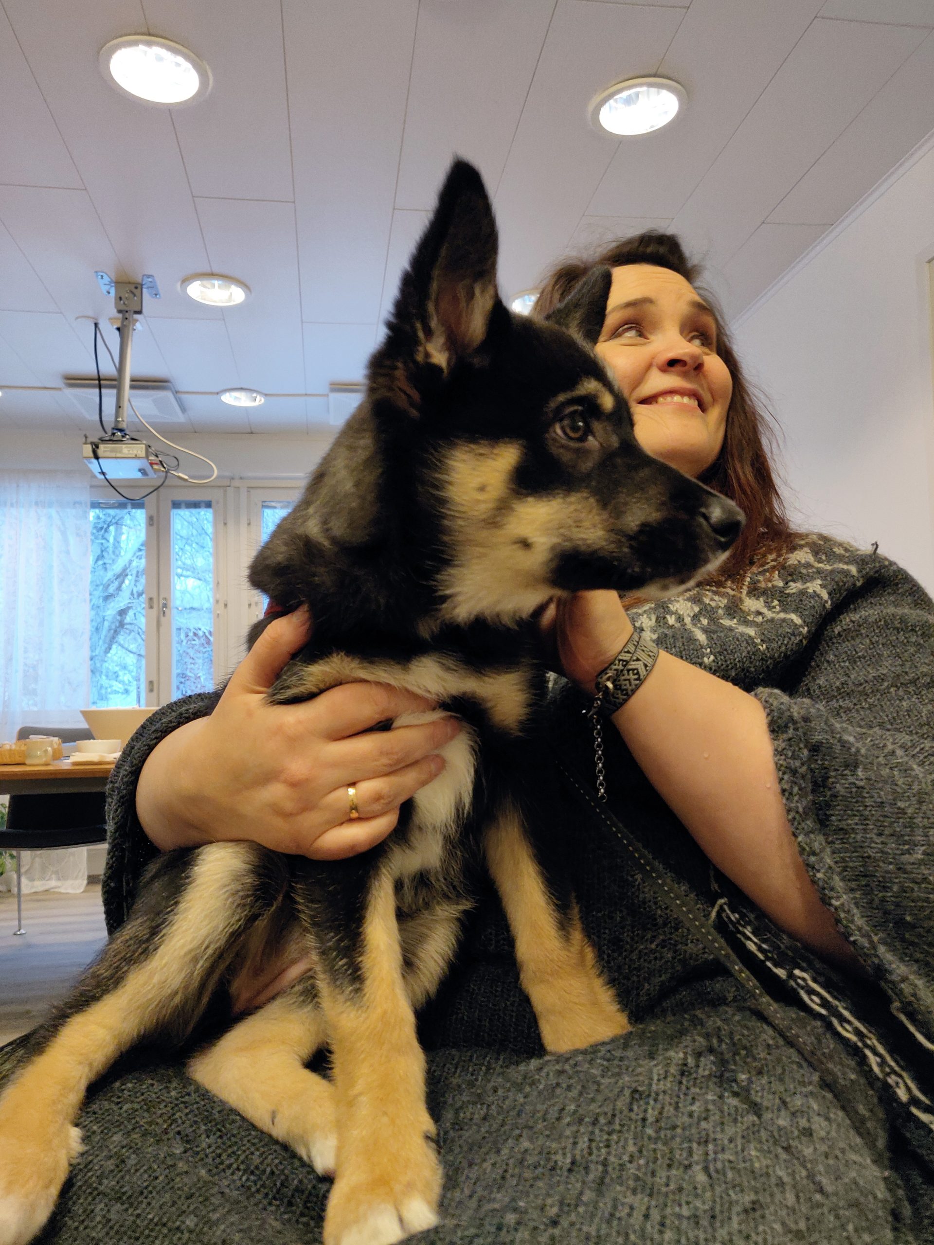 Annika Lompolo Outokairan toimistolla sylissään Viuhti-koira.